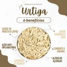Urtiga raiz 500 gramas minas atacadista