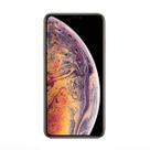 Usado: iPhone XS Max 64GB Dourado - Outlet Bateria 70%