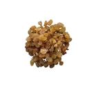 uva passa branca importada 1kg