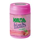 Valda Friends Morango Pote 50g - Valda