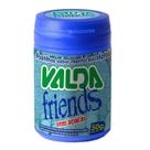 Valda Friends (pote de 50gr) - Valda