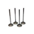 VALVULA ADMISSAO (JG C/4UND) para H100/ L200/ L300