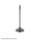 Valvula Admissao Metal Leve VA0510126 STD Biz 100 ES Pop 100