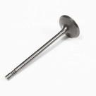 Valvula De Admissao Plus Pecas Genuinas Gm Onix tracker 55496633