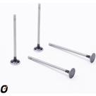 Válvula de escape Peugeot 206 2001 a 2005 TAKAO VES RE 09