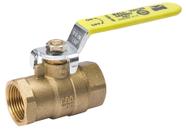 Válvula de esfera Mueller ProLine Full Port Heavy Duty 1in