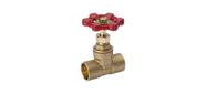 Válvula de gaveta SWT Proline Power de 1 polegada, 200 PSI