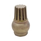 Válvula de Retenção Fundo de Poço em Latão 3/4" BSP Genebre Válvula de Retenção Fundo de Poço em Latão 3/4" BSP Genebre