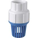 Válvula de Retenção Poço Com Filtro 3/4 Emb. c/ 6 un. - Krona