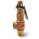 Válvula de Segurança Alivio DN25 1 Pol Vapor