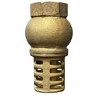 Válvula de sucção de poço 3/4"
