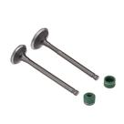 Valvula E Retentor Kit (4pcs) Ww3 Biz 125 05/