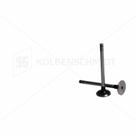 VALVULA ESCAPE (JG C/4UND) para CORSA 1.0/ 1.4 8V E VHC - GM
