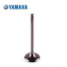 válvula escape original Yamaha fazer 250 Blueflex 44c1212110