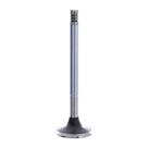 VALVULA ESCAPE (UNIDADE) para D20 MAXION S4/S4T/S4T PLUS 45