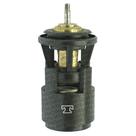 Valvula termostatica serie ouro - cordoba 1996 a 1999 / gol 1994 a 2005 / ibiza 1998 a 2002 / parati 1997 a 2005 / polo 2001 a 2003 - vt245.87 Valvula termostatica serie ouro - cordoba 1996 a 1999 / gol 1994 a 2005 / ibiza 1998 a 2002 / parati 1997 a 2005 / polo 2001 a 2003 - vt245.87