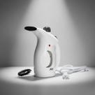 Vaporizador De Roupas Passadeira Portátil Ferro A Vapor Tira Amasso127v