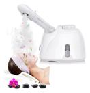 Vaporizador Facial E Capilar Profissional Spa Ozônio