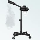 Vaporizador Facial TASALON com Rodinhas - Vapor Quente