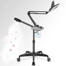 Vaporizador facial TASALON Professional 2 em 1 com lâmpada de aumento