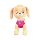 VAR Pelúcia Patrulha Canina 30cm Infantil (Escolha) Personagem:Skye