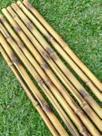 Vara Bambu 2,50 a 3,00m