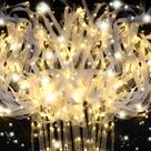 Varinhas de iluminação LED HONLYNE 200PCS para casamentos e eventos