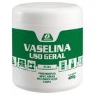 Vaselina. Industrial Garin Pote 400G.