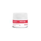 Vaselina Solida Pote Farmax 25 Gramas