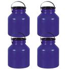 Vasilhame Para Transporte De Leite 10 Litros Azul - Kit 4