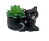 Vasinho Cachepot Gato Deitado Cor Preto Suculenta - Decore Casa