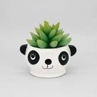 Vasinho Cachepot Panda Pires Suculenta Vasinho Cachepot Panda Pires Suculenta