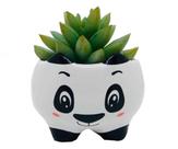 Vasinho Cachepot Pequeno Panda Suculenta