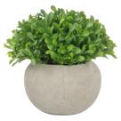 Vasinho Cimento Queimado Suculenta Artificial Decoração Vaso Vasinho Cimento Queimado Suculenta Artificial Decoração Vaso