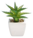 Vasinho Decorativo Com Planta Artificial Suculenta Cerâmica