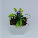 Vasinho Decorativo Quadrado com Planta Artificial Hortênsia