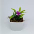 Vasinho Decorativo Quadrado com Planta Artificial Hortênsia