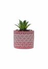 Vasinho em Cimento Cachepot com Suculenta Planta Artificial Vasinho em Cimento Cachepot com Suculenta Planta Artificial