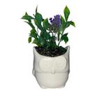 Vasinho esmaltado com flor