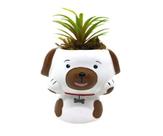 Vasinho Para Suculenta Cachorro Bebe Suculenta - Decore Casa