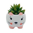 Vasinho Pequeno Ceramica Gato Orelha Rosa