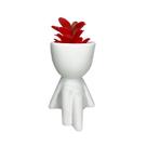 Vasinho Porcelana Bob + Suculenta Kit C/ 2 Pçs P/ Decoração Vasinho Porcelana Bob + Suculenta Kit C/ 2 Pçs P/ Decoração