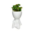 Vasinho Porcelana Bob + Suculenta Kit C/ 2 Pçs P/ Decoração Vasinho Porcelana Bob + Suculenta Kit C/ 2 Pçs P/ Decoração