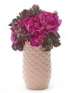 Vaso: Amaranth, design exclusivo, plástico, fácil drenagem de água, mármore