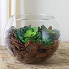 Vaso Aquario Terrario De Vidro Liso 3 litros Transparente Decorativo para arranjo flores Naturais