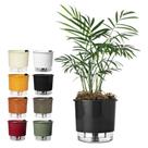 Vaso Autoirrigável Terrazzo 02 Reservatório Horta Flor Raiz