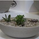Vaso Bacia 41cmx41cm Europa Japi Vaso Bacia 41cmx41cm Europa Japi