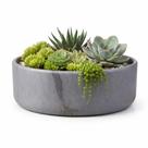 Vaso Bacia Linha Genebra Cachepot Decorativo 21x8cm - Vaso Bacia Linha Genebra Cachepot Decorativo 21x8cm -