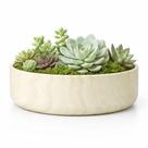 Vaso Bacia Linha Genebra Cachepot Decorativo 21x8cm -