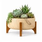 Vaso Bacia Linha Genebra com Suporte de Madeira 21cm - Vaso Bacia Linha Genebra com Suporte de Madeira 21cm -